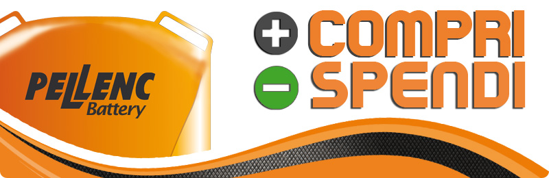testatina_compri-spendi